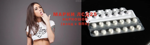 PSILOCYBIN Армянск
