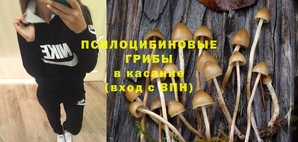 PSILOCYBIN Арсеньев