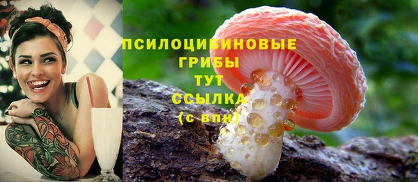 PSILOCYBIN Арсеньев