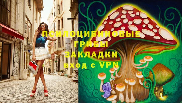 PSILOCYBIN Армянск