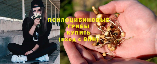 PSILOCYBIN Арсеньев