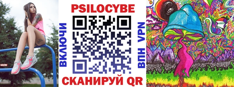 гидра ссылки  Нестеров  Псилоцибиновые грибы Psilocybine cubensis 